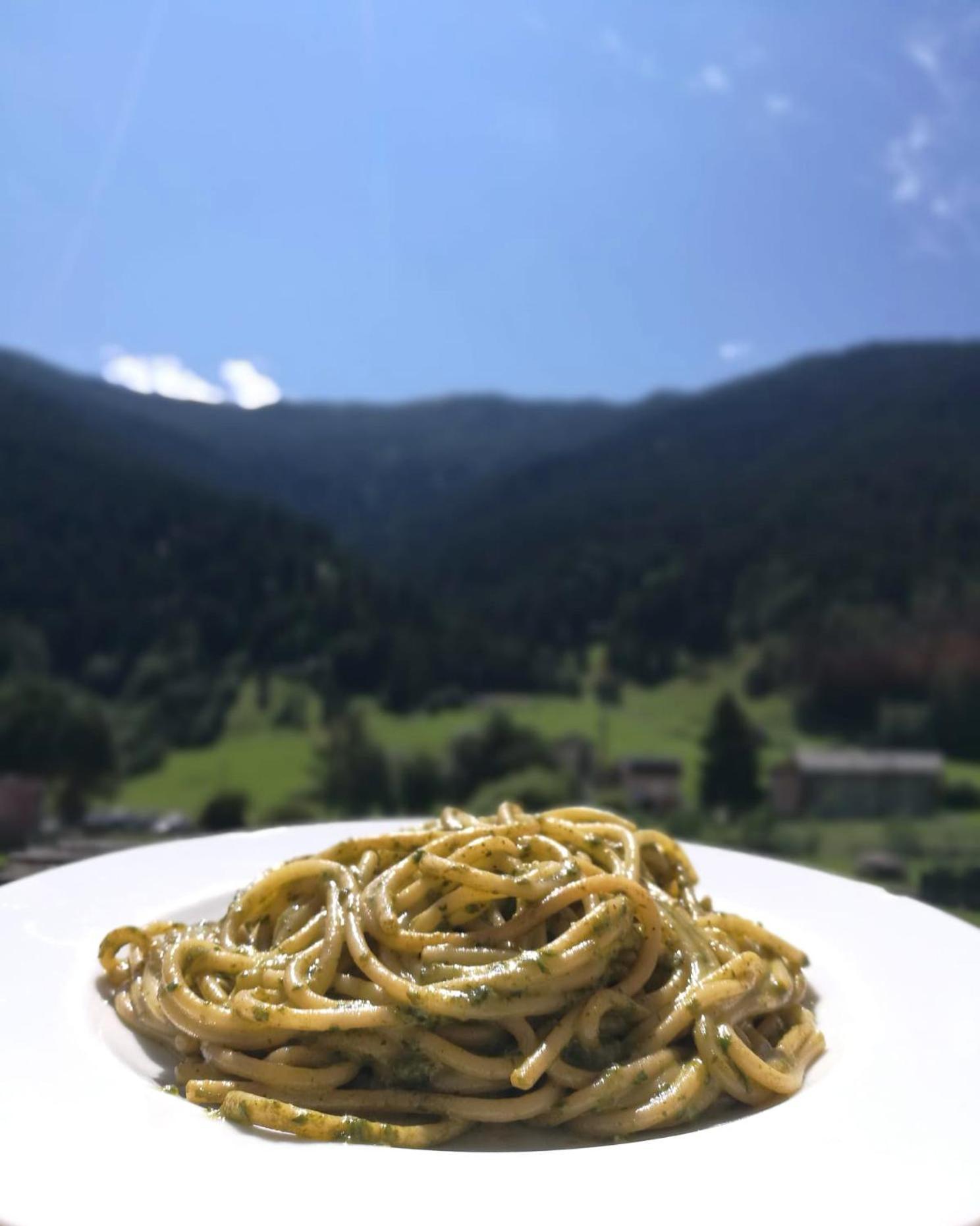 Mountain - Families Holidays * Pradelle