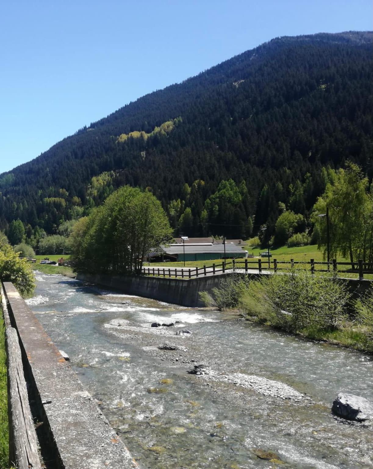Mountain - Families Holidays Apartment Pradelle