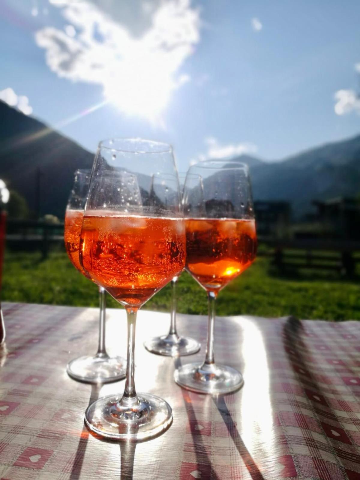 Apartment Mountain - Families Holidays Pradelle